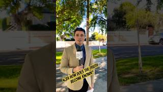 4 2a How The Truth Becomes Known