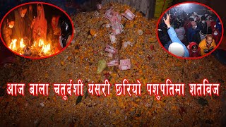 आज बाला चतुर्दशी यसरी छरियो पशुपतिमा शतविज ||@ClickmanduOnline ||