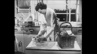 The Good Housewife "In Her Kitchen" (1949)