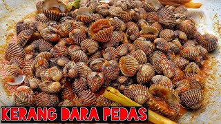 CARA MEMASAK KERANG DARA PEDAS