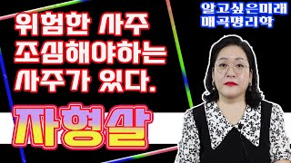 사주로 알수있다.사는게 힘들게 느껴지는 사람- 자신을 들들 볶는 성향.삼형살과 자형살이 사주팔자에 있다? 없다?- 2편 | 매화계곡 24화