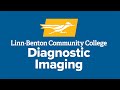 Inside the Program: Diagnostic Imaging