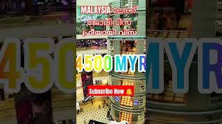 MALAYSIA Workvisa|wayfarerinsights|malayalam|work permit|work pass|Malaysia jobs #viral #work #jobs