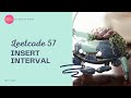57. Insert Interval - Leetcode Medium - Python