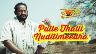 Palle Thalli Nuditimeedha Video Song | Jai Sena | Srikanth | Sunil | Tarak Ratna | Ravi Shankar
