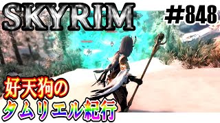 【SKYRIM】好天狗のタムリエル紀行　変性術【#848】