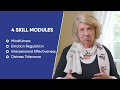 Dr. Marsha Linehan: The 4 Skills Modules of DBT