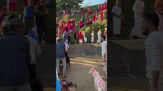 Kul Puja At Village #dajuprakash #kul #puja #viral #video