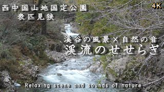 【渓流のせせらぎ】渓流のせせらぎでリラックスするやすらぎのひととき  心地よい音で睡眠導入にも / 冬支度が進む溪谷にて   西中国山地国定公園  初冬の表匹見狭（1） / ASMR   🎧