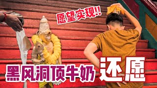 黑風洞頂牛奶還願！！戰神Muruga顯靈實現我的願望！！|【信仰Vlog】#36