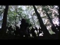 Robin Hood Prince of Theives 2011 Trailer by ARHC.mov