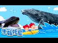 🐳😍[趣味探索]听说你对鲸鱼很好奇 | 大虎鲸 | 蓝鲸 | 朱妮托尼精选儿歌 | Kids Song in Chinese | 兒歌童謠 | 卡通動畫 | 朱妮托尼童話故事 | JunyTony