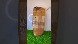 Copper Coin Plant \u0026 Money Plant #unboxing #plant #meesho #amazon #flipkart #shorts