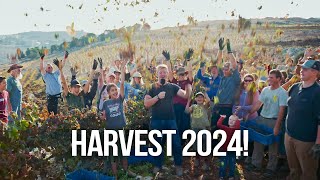 The Last Day of HARVEST 2024! 😭🤩