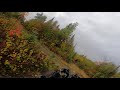 moose crossbow hunt 2021 calling in and harvesting a bull