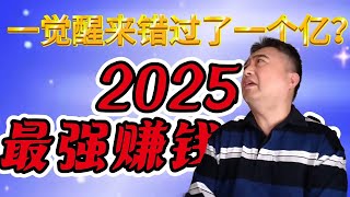 赚钱 2025国外捞金项目 冷项目赚钱方法颠覆赚钱的思维 最新灰产USDT灰产项目 一月搞百万的路子