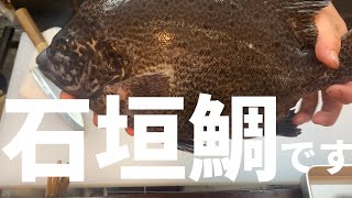 メタボ石垣鯛を捌きます/肉魚地酒やすおか/美味しいですよ♪