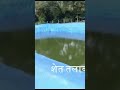 srt farmpond rice cultivation