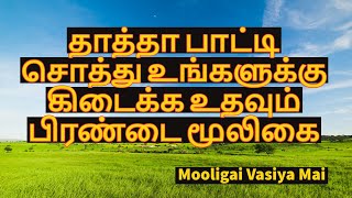 தாத்தா பாட்டி சொத்து உங்களுக்கு கிடைக்க உதவும் பிரண்டை மூலிகை | @mooligaivasiyamai