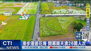 【每日必看】全台灣最夯景點 大溪水岸花卉農遊 20241123