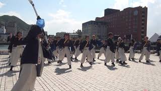 山口大学よさこいやっさん！！　関門よさこい大会（親水公園）