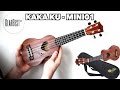 Cool Gift | KAKA KU | MINI01 17 inch UKULELE REVIEW