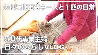 【50代】【専業主婦日々の暮らしVLOG】夫は長期出張中/一人と１匹/愛犬トイプードルと過ごす日常/実家で牛もつ煮込み/家事/一人暮らし専業主婦の日常