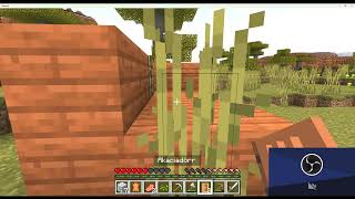 Kopia av minecraft survive mode