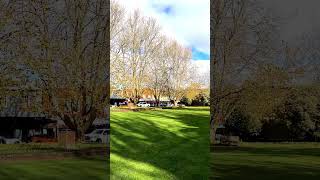 Moss Vale Country Town Park by the Main Drag with Majestic Trees All Around#park