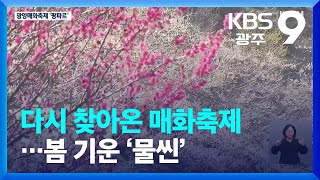 다시 찾아온 매화축제…봄 기운 ‘물씬’ / KBS  2023.03.10.