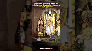 ஏகாதசி தரிசனம் தஞ்சாவூர் நாலுகால் மண்டபம் ஸ்ரீ பிரசன்ன வெங்கடேச #பெருமாள் #ஏகாதசி #ekadashi #shorts