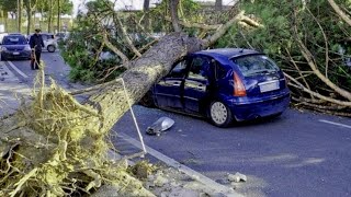 Storm in Italy rips off roofs and knocks down trees! Cremona