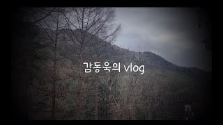 🌳🌳숲체원 VLOG🌳🌳 | 2편