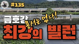 EP135 금호강 혈투! 고수온기보다 더한 배스낚시 최강의 빌런!                                            #bass #bass #배스낚시