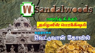 தலைகீழாய் செதுக்கப்பட்ட கற்கோவில் | மறைந்து கிடக்கும் தமிழன் பொக்கிஷம் | வெட்டுவான் கோயில்