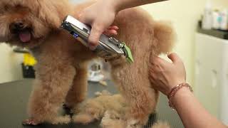 oneisall Metal Dog Clippers for Thick Hair