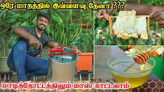 மாடித்தோட்டத்தில் தேன் அறுவடை | HONEY HARVEST | SOO SWEET😋