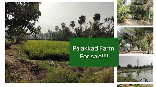 13 Acre Land/ Farm For sale / Palakkad / Affordable investment / Call:9544571976#palakkadproperties