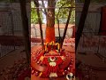 sadasiva brahmendra Oct 14/22 pooja