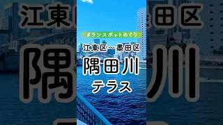 【コース紹介】初心者向け隅田川エントランスで快適ランニング！#shorts #つかラン#ランスポットめぐり#ランニングコース#ランニング#ジョギング＃マラソン#隅田川#gopro