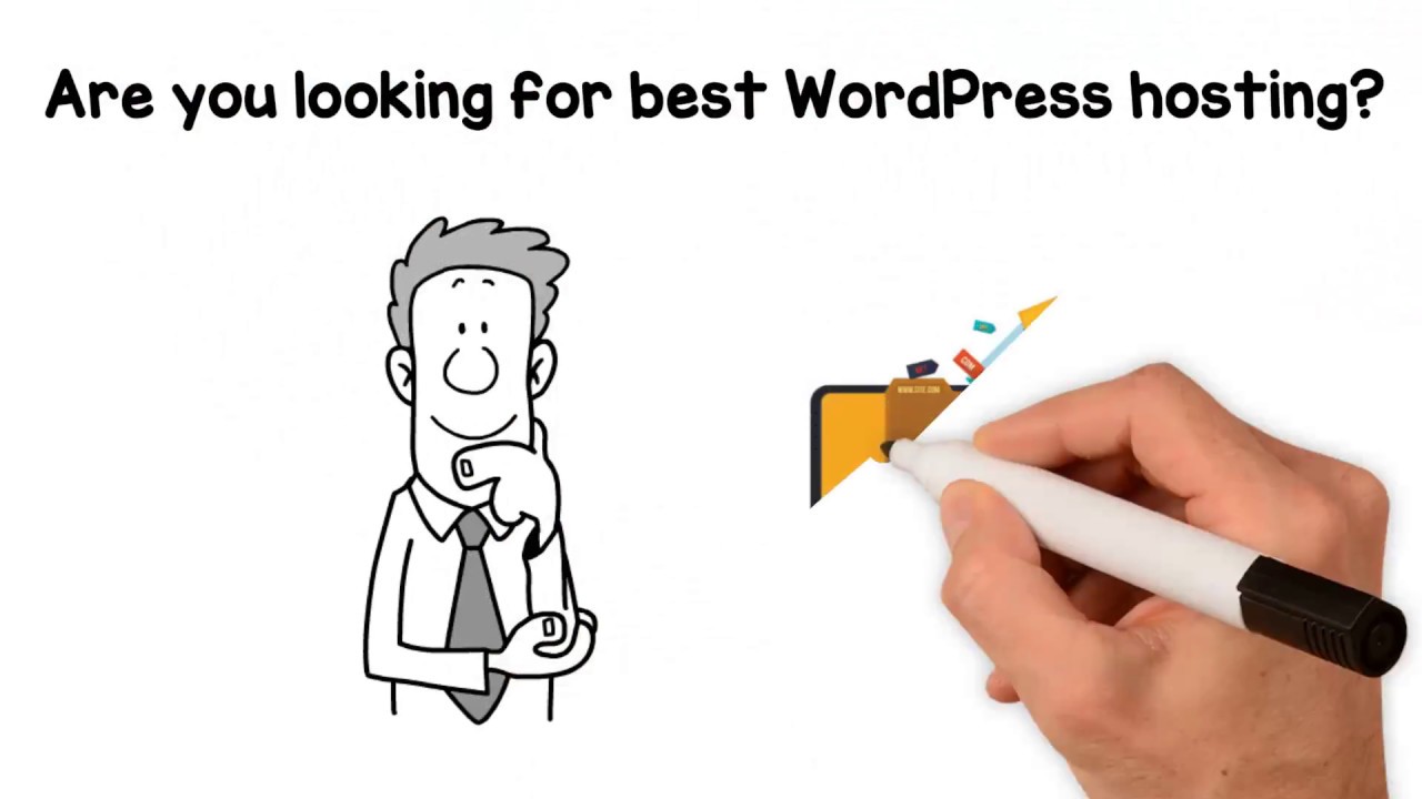 Best Wordpress Hosting Youtube