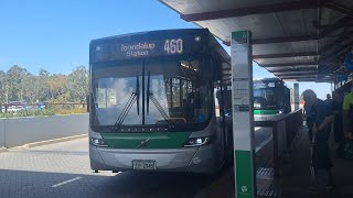 [2024 Perth Begins] Transperth Bus Route No. 460 (TP2945) Whitfords Station to Joondalup Station