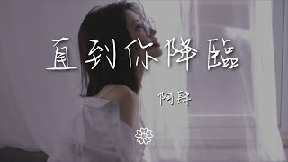 阿肆 - 直到你降臨『我從未如此相信 如此確定』【動態歌詞Lyrics】