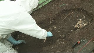 How are forensic remains exposed & recovered?