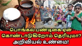 பொங்கல் பண்டிகை ஏன் கொண்டாடுகிறோம் தெரியுமா? அறிவியல் உண்மை! Reason for Pongal celebrations