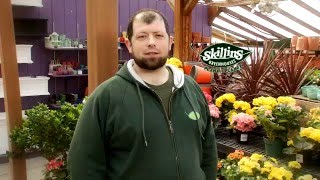 2016 Maine IGC Commercial (Skillins Greenhouses)