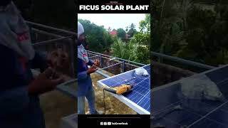 FICUS SOLAR PLANT | ഇനി വൈദ്യുതി ബില്ലിനെ ഭയക്കേണ്ട | TechCornerKerala