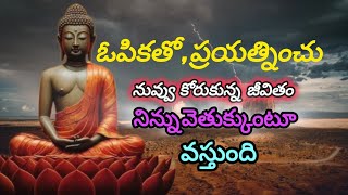 ఓపికతో ప్రయత్నించు నువ్వు కోరుకున్న జీవితం నిన్ను వెతుక్కుంటూ వస్తుంది