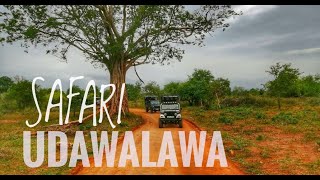 Udawalawa Safari - උඩවලව සෆාරි | Travel Sri Lanka | Udawalawa National Park