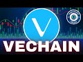 VeChain (VET) Price News Today - Technical Analysis Update, Price Now! Elliott Wave Analysis!